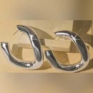 Elegant Silver Hoop Earrings